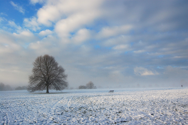 Cold snap Clifton Downs _B0165 - Bristol Landscape Photography