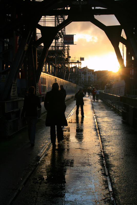 Bristol's cranes in the evening light_CR_012 - Bristol Landscape Photography