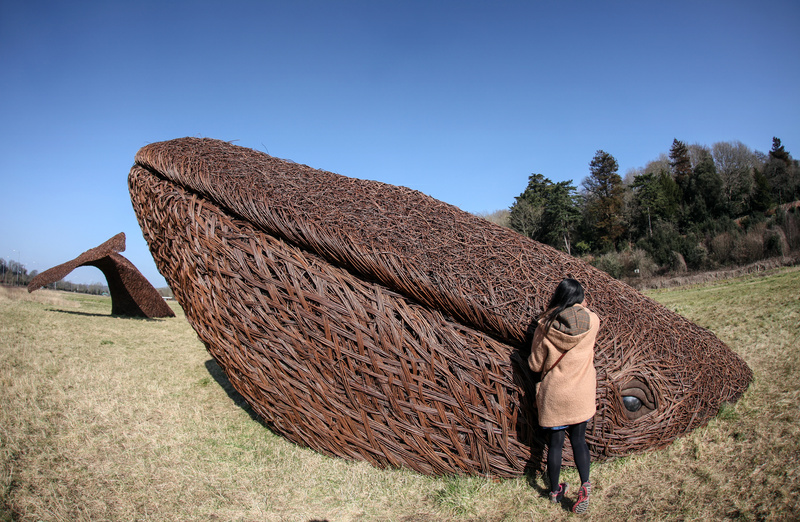 Wicker Whale, Bristol_WW001 - Bristol Landscape Photography