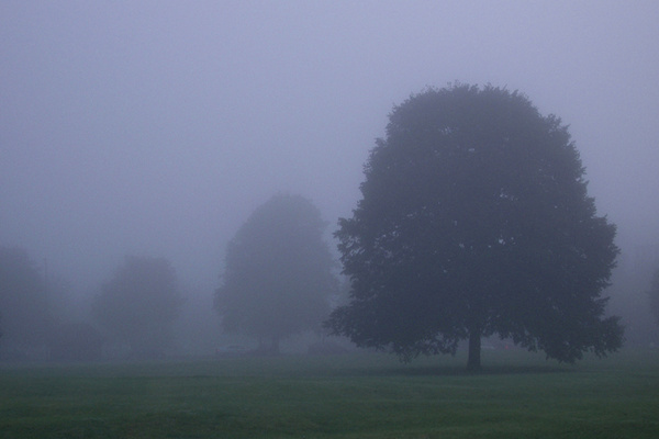 Durdham Downs in mist B075 - Bristol Landscape Photography