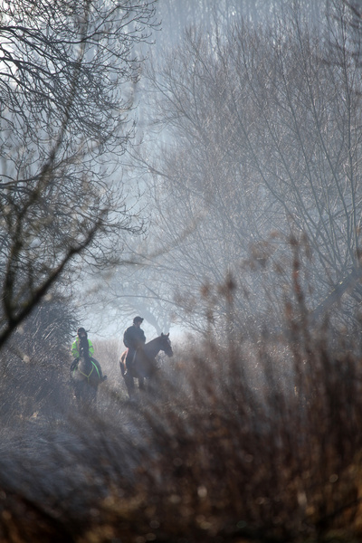 River Frome misty mornng  B0190 - Bristol Landscape Photography