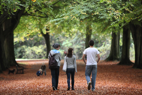 Bristol Landscpe_Autunm walk_Clifton_B0175_Ian Wade - Bristol Landscape Photography