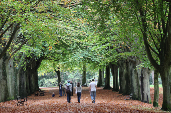 Autunm walk_B0176 - Bristol Landscape Photography