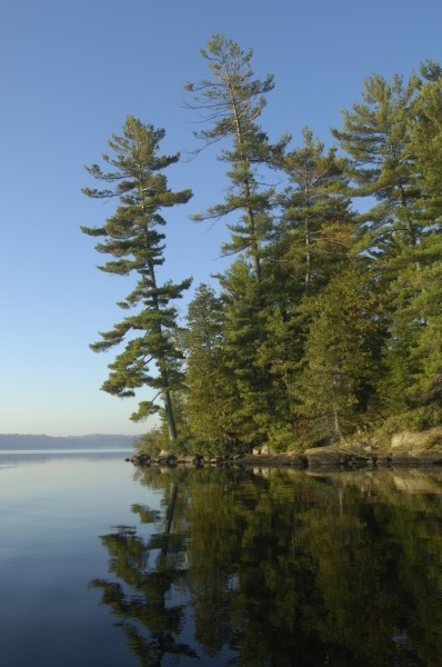 Construction22 - Muskoka Scenery