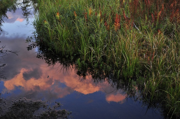 barrensreflect - Fine Art Decor Images