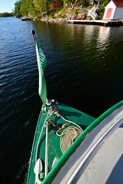 AliceMae25-1491 - AliceMae