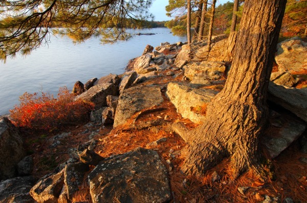 Pardoe2004174 - Muskoka Scenery