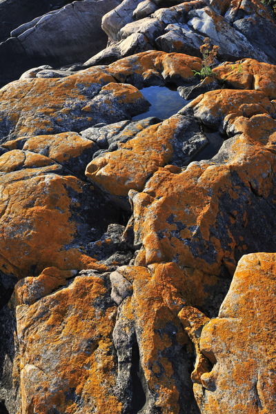 GeorgianBay11-038 - The Glory of Georgian Bay