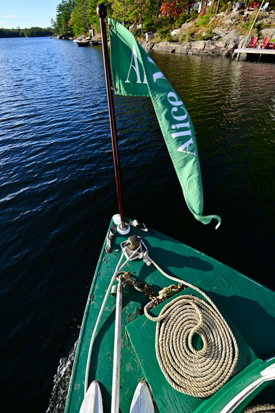 AliceMae25-1492 - AliceMae