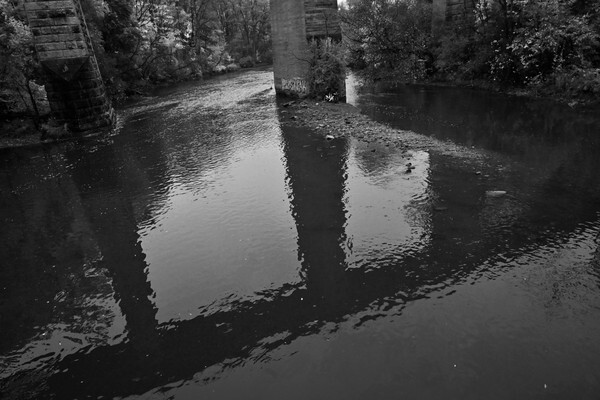 JamesGardens2310-3bw - James Gardens Autumn Colours 23