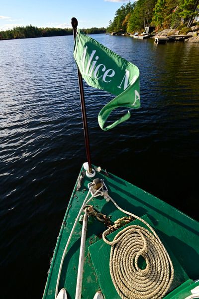 AliceMae25-1499 - AliceMae