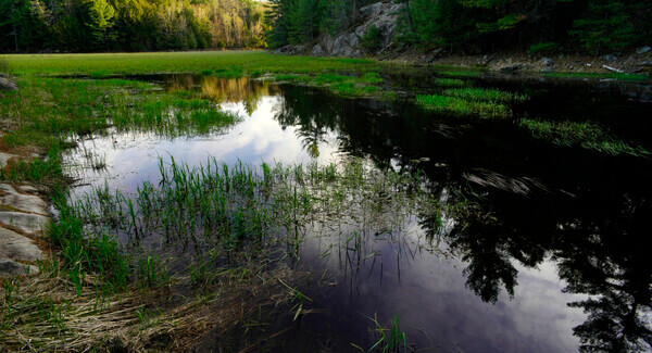 haymarshspring20-1l - Genres of Photography