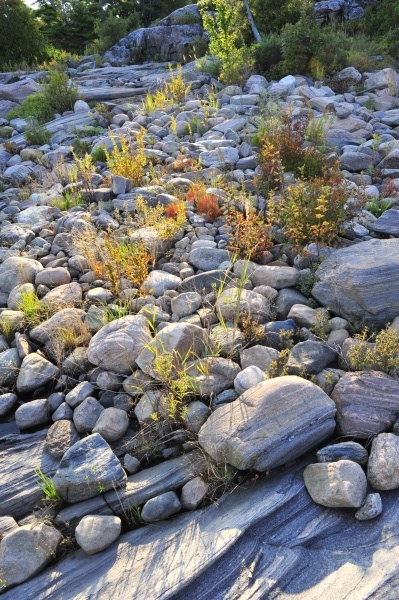 _DSC0922 - Franklin Island