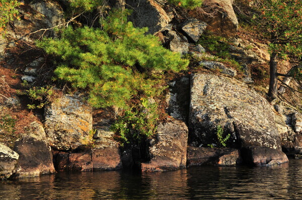 Bohemia08-022 - Muskoka Scenery
