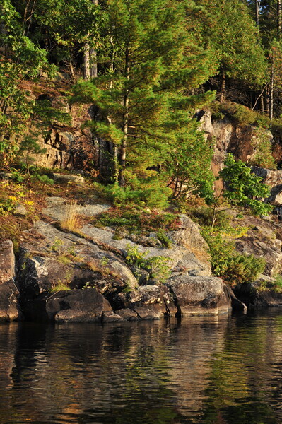 Bohemia08-036 - Muskoka Scenery