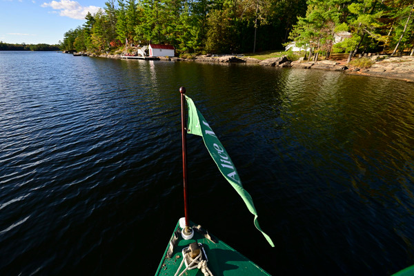 AliceMae25-1481 - AliceMae