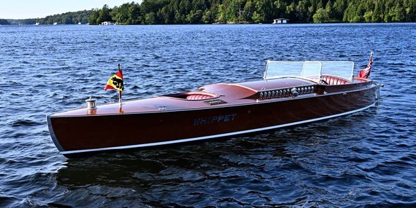 Whippet23-2951 - Whippet23