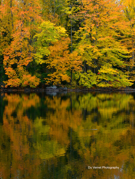 HardyLKOct12-005l - Fine Art Decor Images