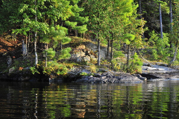 Bohemia08-014 - Muskoka Scenery