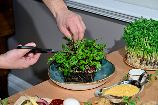 _DUV2768 - Deerhurst Drift