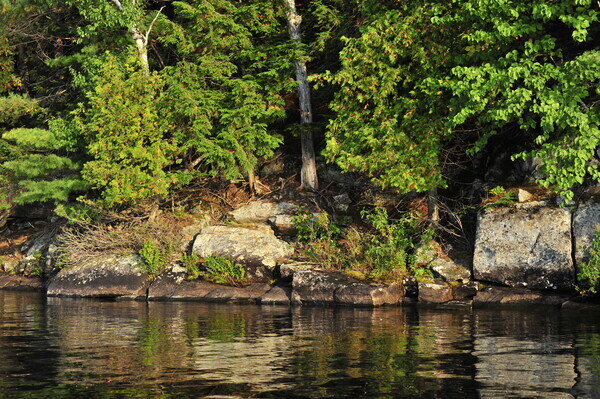 Bohemia08-005 - Muskoka Scenery