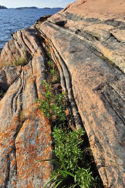 GeorgianBay11-010 - The Glory of Georgian Bay
