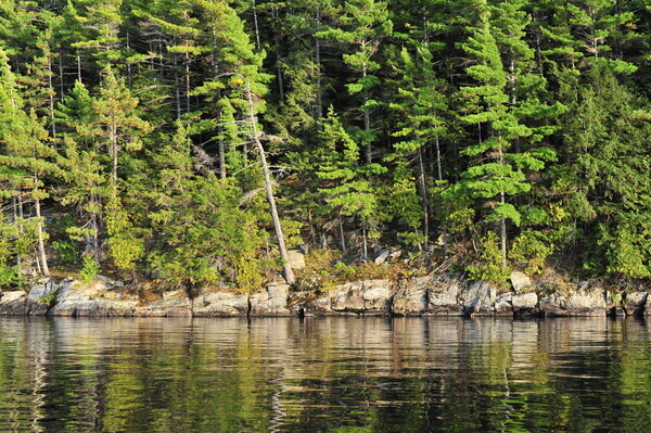 Bohemia08-001 - Muskoka Scenery