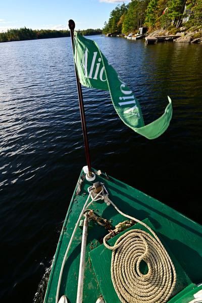 AliceMae25-1496 - AliceMae