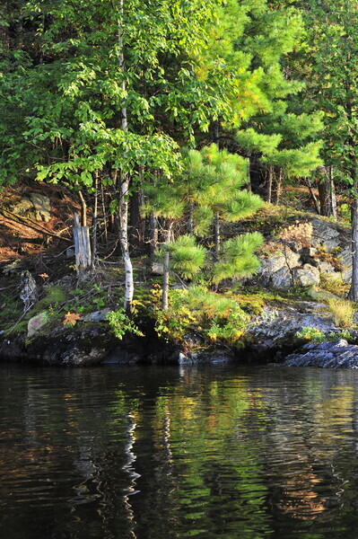 Bohemia08-018 - Muskoka Scenery