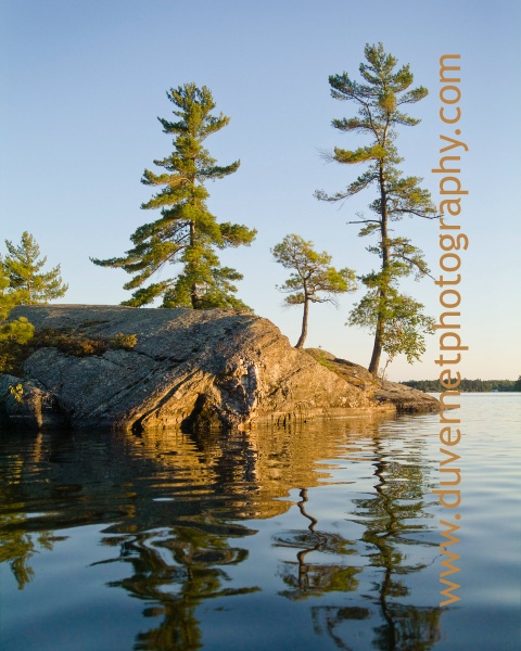 LMusktrees28web - Muskoka Scenery