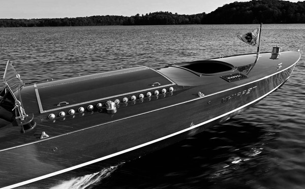 Whippet23-3663BW - Whippet23