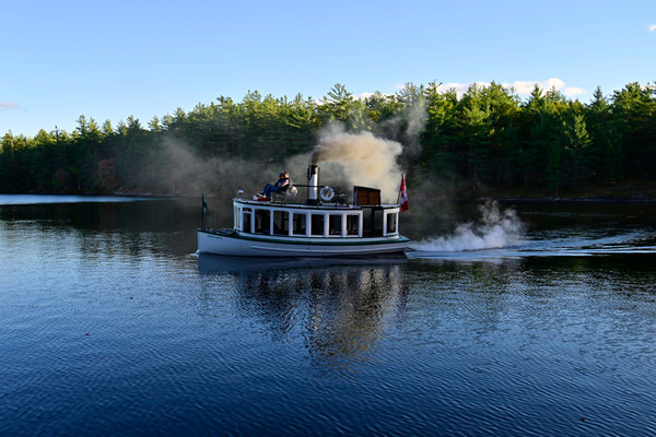 AliceMae25-1508 - AliceMae