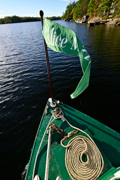 AliceMae25-1497 - AliceMae