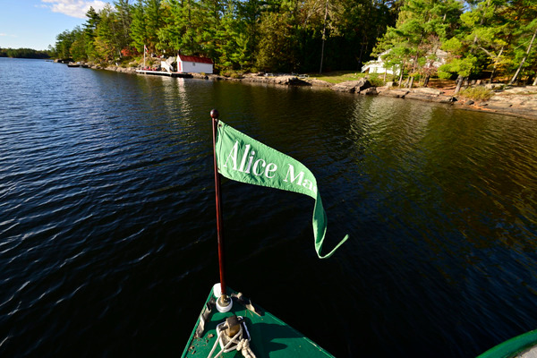 AliceMae25-1486 - AliceMae