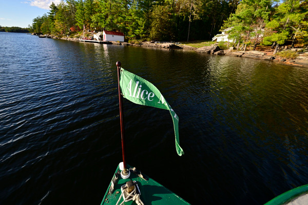 AliceMae25-1487 - AliceMae