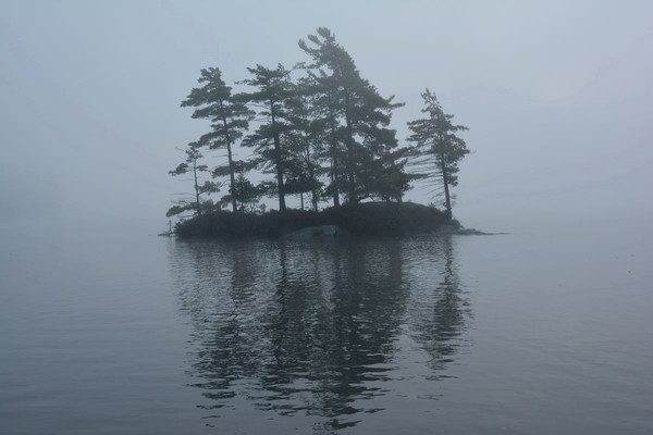 gockeldispro14-012 - Muskoka Select Boats