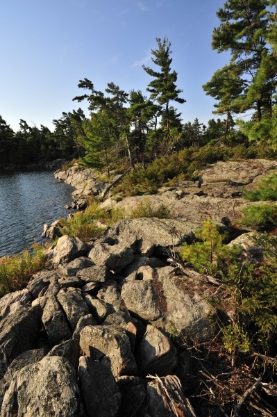 _DSC0931 - Franklin Island
