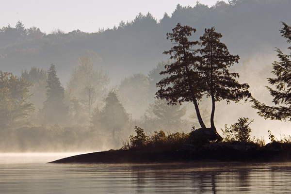 Misty Morning - Fine Art Decor Images