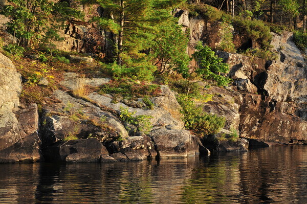 Bohemia08-035 - Muskoka Scenery
