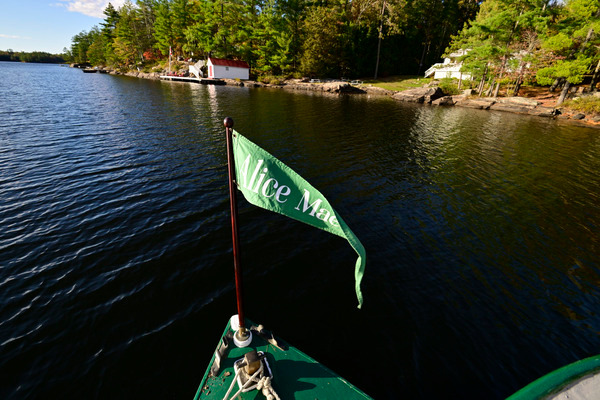 AliceMae25-1488 - AliceMae