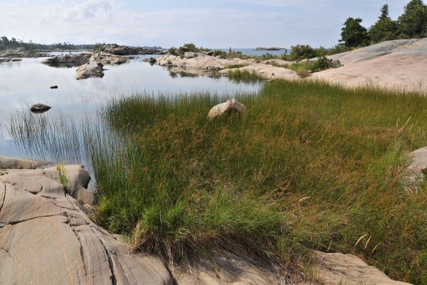 georgianbay11-262 - The Glory of Georgian Bay