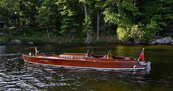 Whippet23-3045 - Whippet23