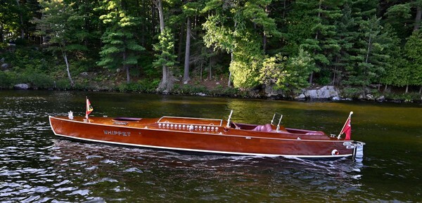 Whippet23-3043 - Whippet23