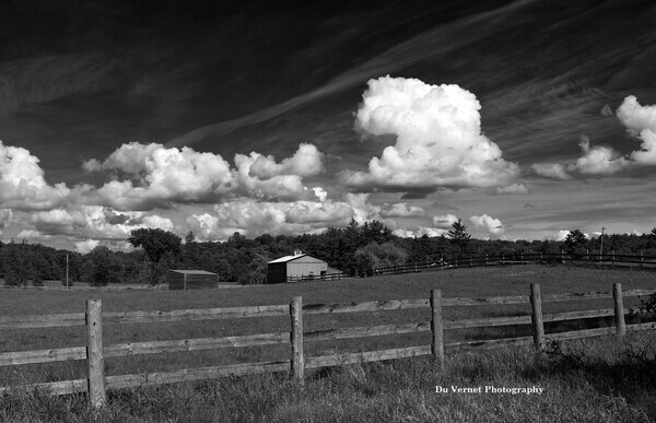 WindermereField22-1BWl - Fine Art Decor Images