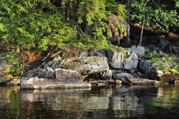 Bohemia08-004 - Muskoka Scenery