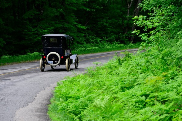 HorseCarr26-246 - HorselessCarriage26