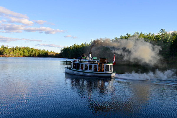 AliceMae25-1511 - AliceMae