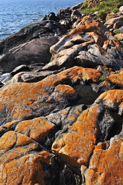 GeorgianBay11-008 - The Glory of Georgian Bay