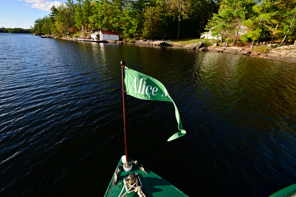 AliceMae25-1485 - AliceMae