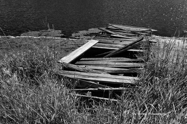 Woodendock22-2BWl - Muskoka Scenery